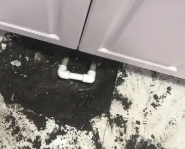 镇巴查漏水哪家好